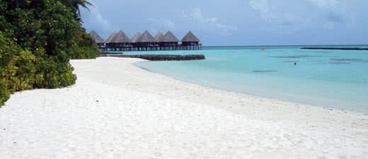 Hôtel Velidhu Island Resort
